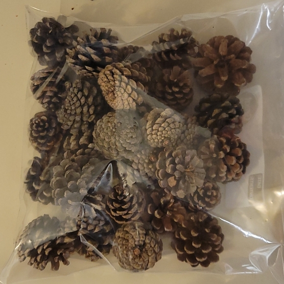 pinecones Other - 4 bags Approx. 100 Craft 1-2 inch Pinecones